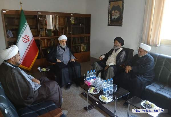 دکتر شهریاری در دیدار هیأت علمای پاکستان: الگوی «کنفرانس‌های منطقه‌ای وحدت» را برای گسترش تقریب در جهان اسلام توسعه داده‌ایم